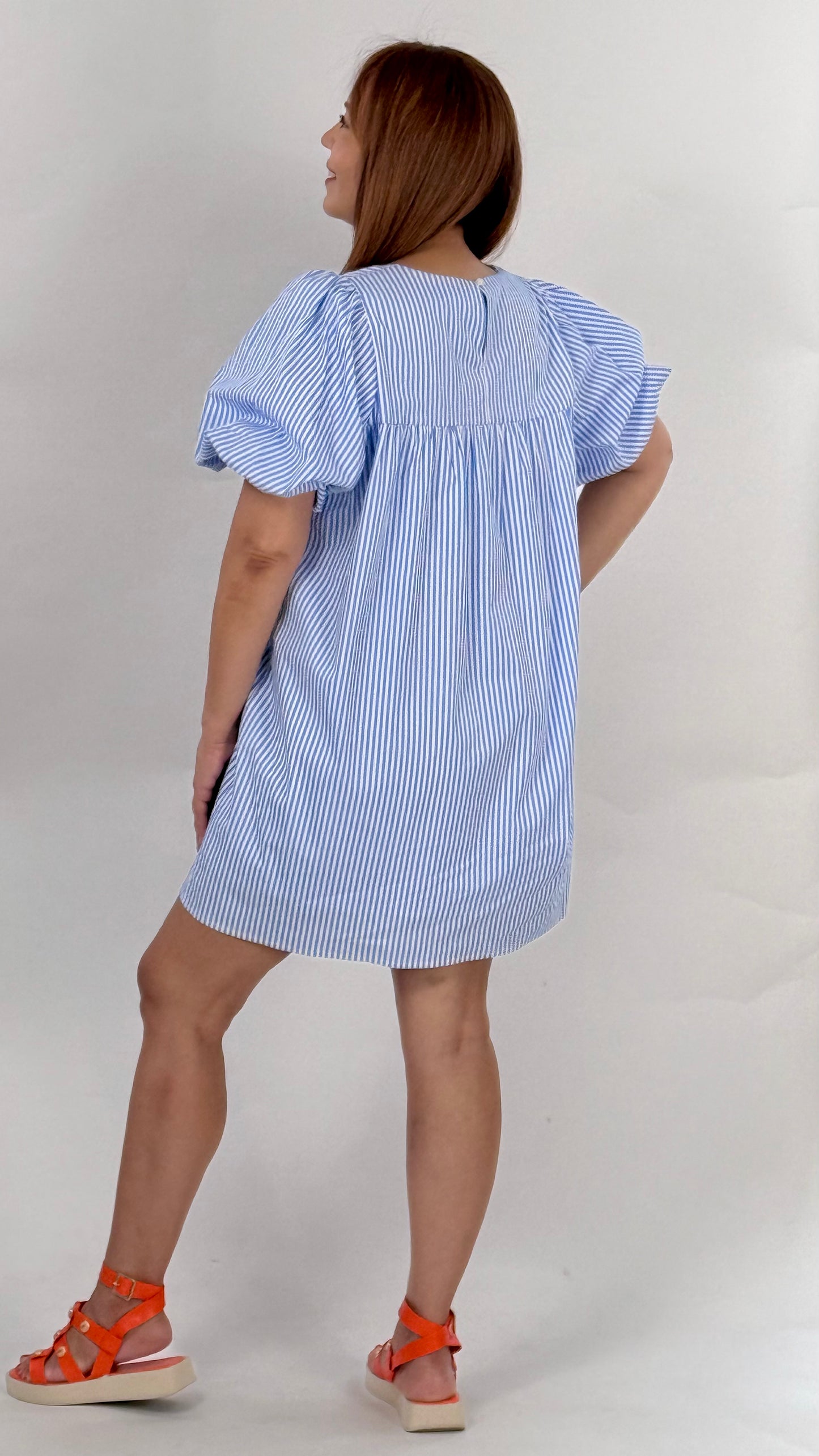 Zara's Embroidery Mini Dress
